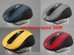 Chuột máy tính RAPOO 3000