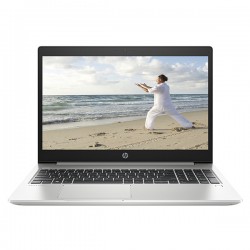 Laptop HP 455 G6 6XA87PA (Silver)