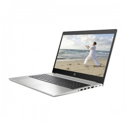 Laptop HP ProBook 455 G6 6XA87PA (Ryzen 5-2500U/8Gb/1Tb HDD/14FHD/AMD Radeon/ Dos/Silver)